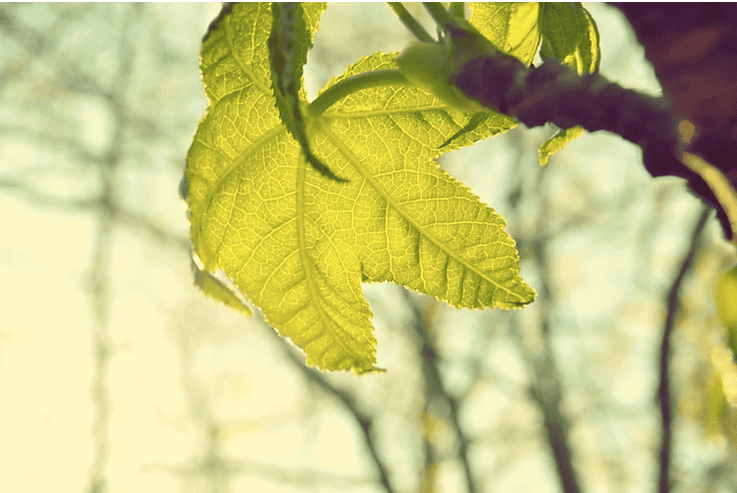 How to Disentangle from Karmic Relationships that Drive Us Crazy