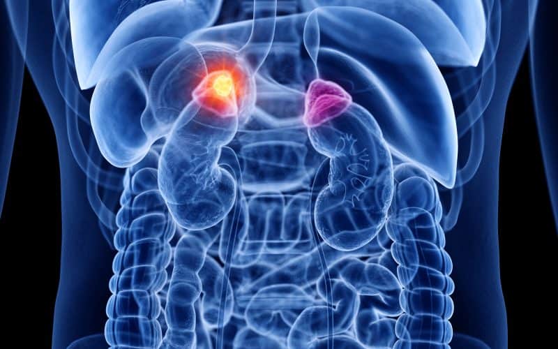 A Guide to Healing Adrenal Fatigue With Emoting And Herbs