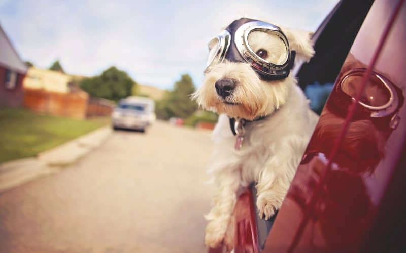 How Authenticity Leads to Happiness