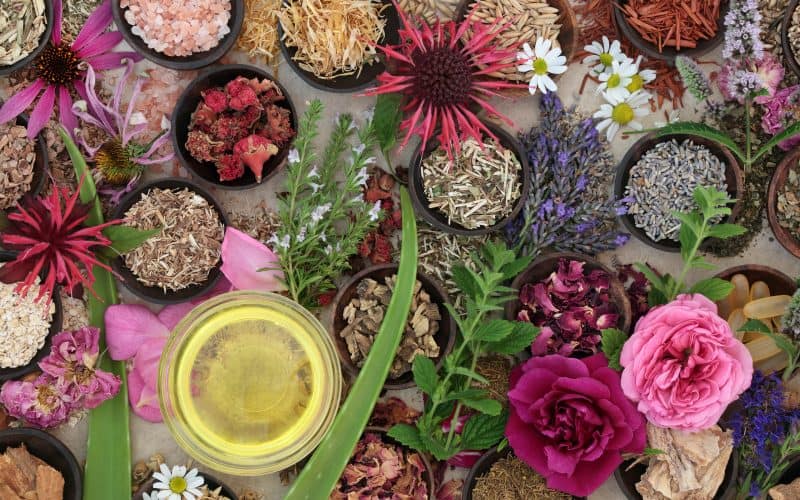 What Is Ayurvedic Medicine And How Can It Help Me