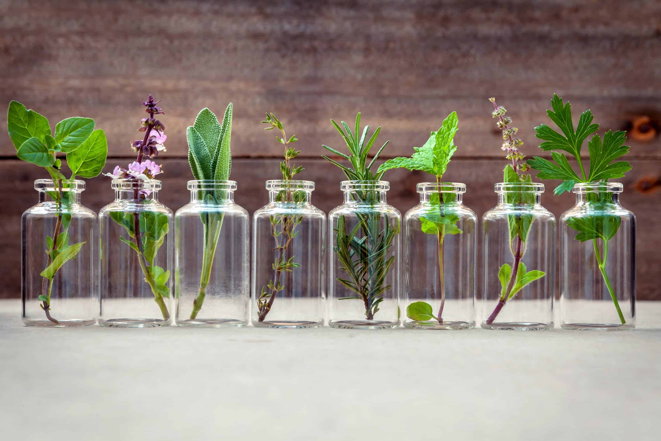 Bottle of essential oil with herbs - Paul Wagner