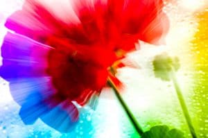 Binaural Beats