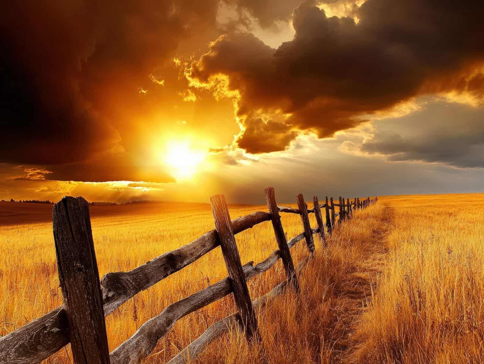 fence in sunset to convey setting boundaries - Paul Wagner
