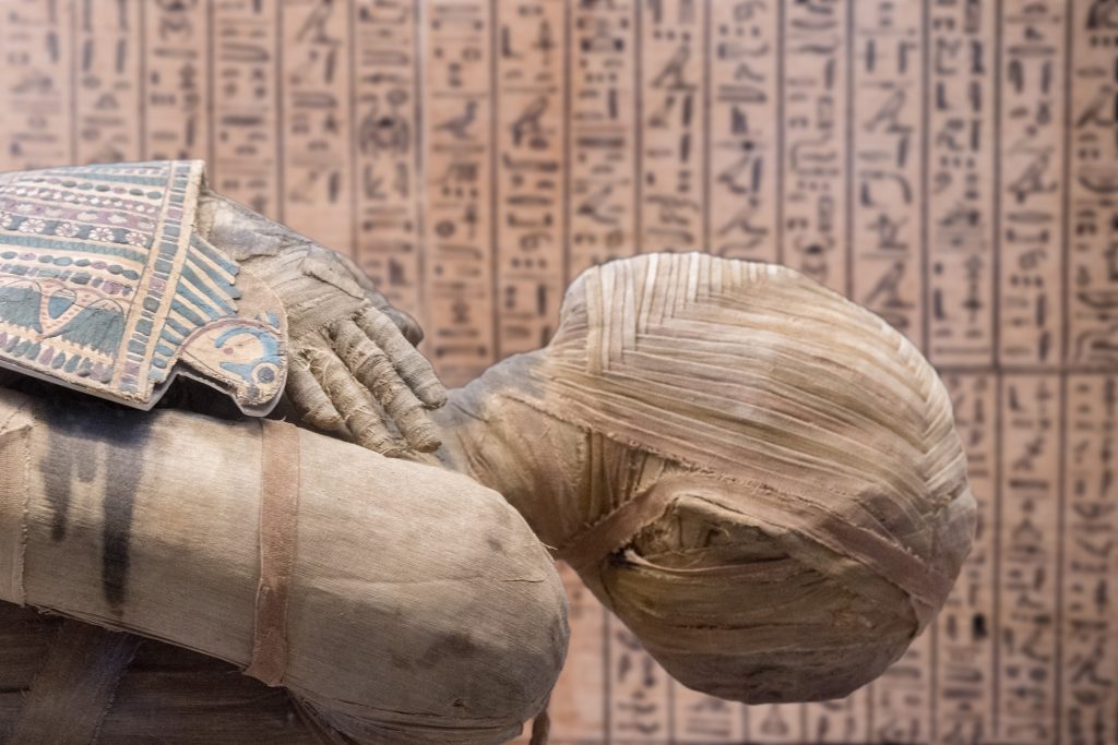 The Cocaine Mummies: Henut Taui’s Ancient Global Trade Network