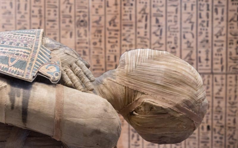 The Cocaine Mummies: Henut Taui’s Ancient Global Trade Network