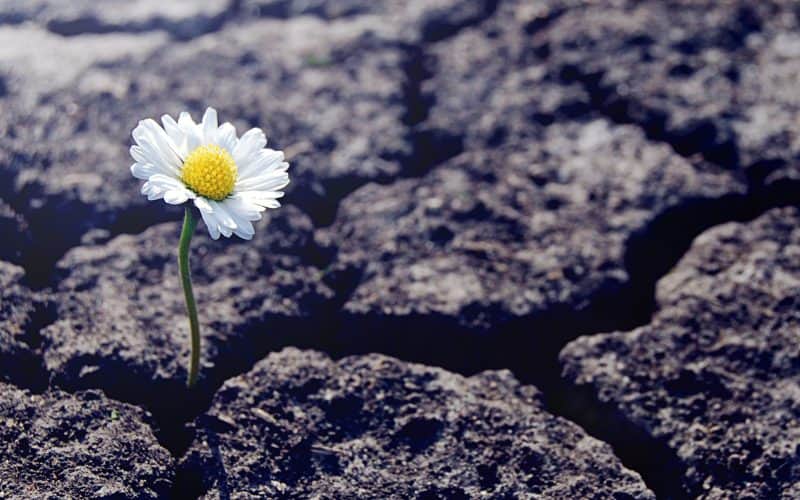The End-Of-World Prophecies From Today’s Most Popular Religions & Movements