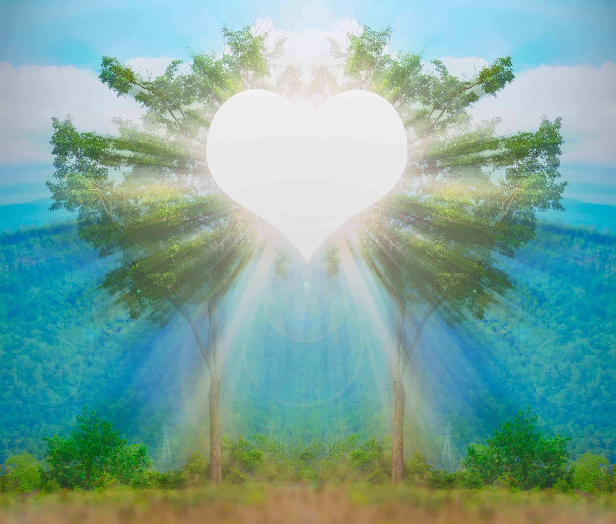 Empaths, heart and sunlight