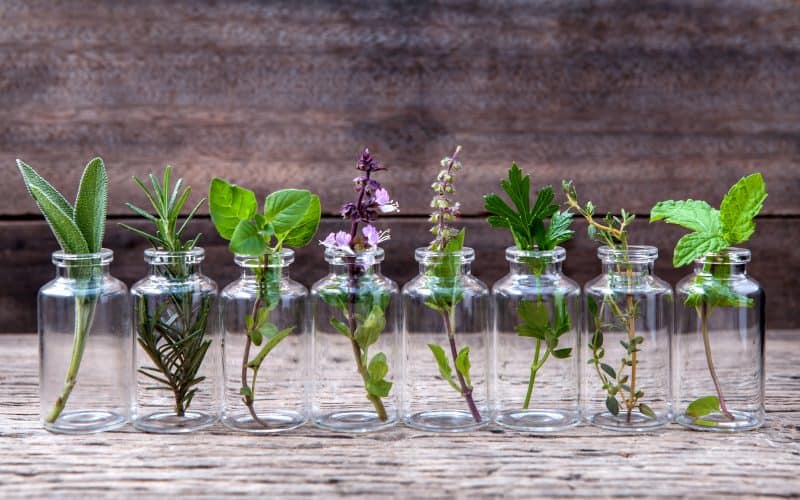 How Essential Oils Can Help You Heal And Evolve