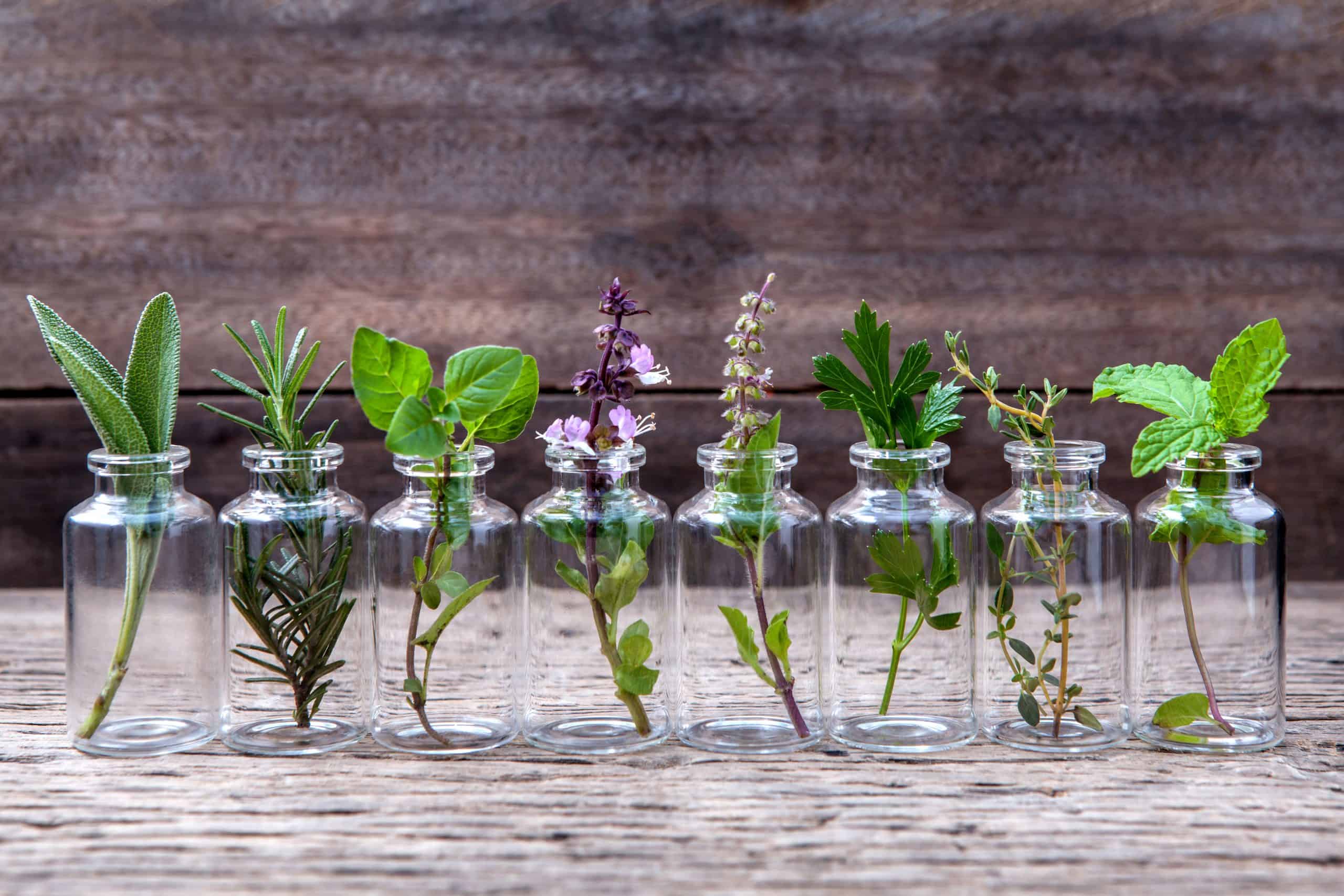 Bach remedy flowers, essential oils - Paul Wagner