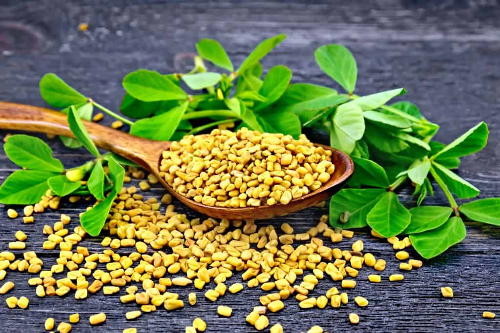 Fenugreek, Maca, and Mucuna: What Can These Lovely Herbs Do For You?