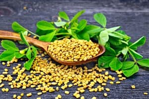 Fenugreek, Maca