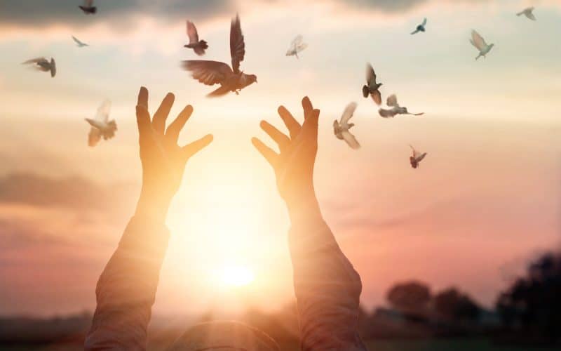 Forensic Forgiveness: Unlocking the Emotions, Imagery, and Habits that Bind