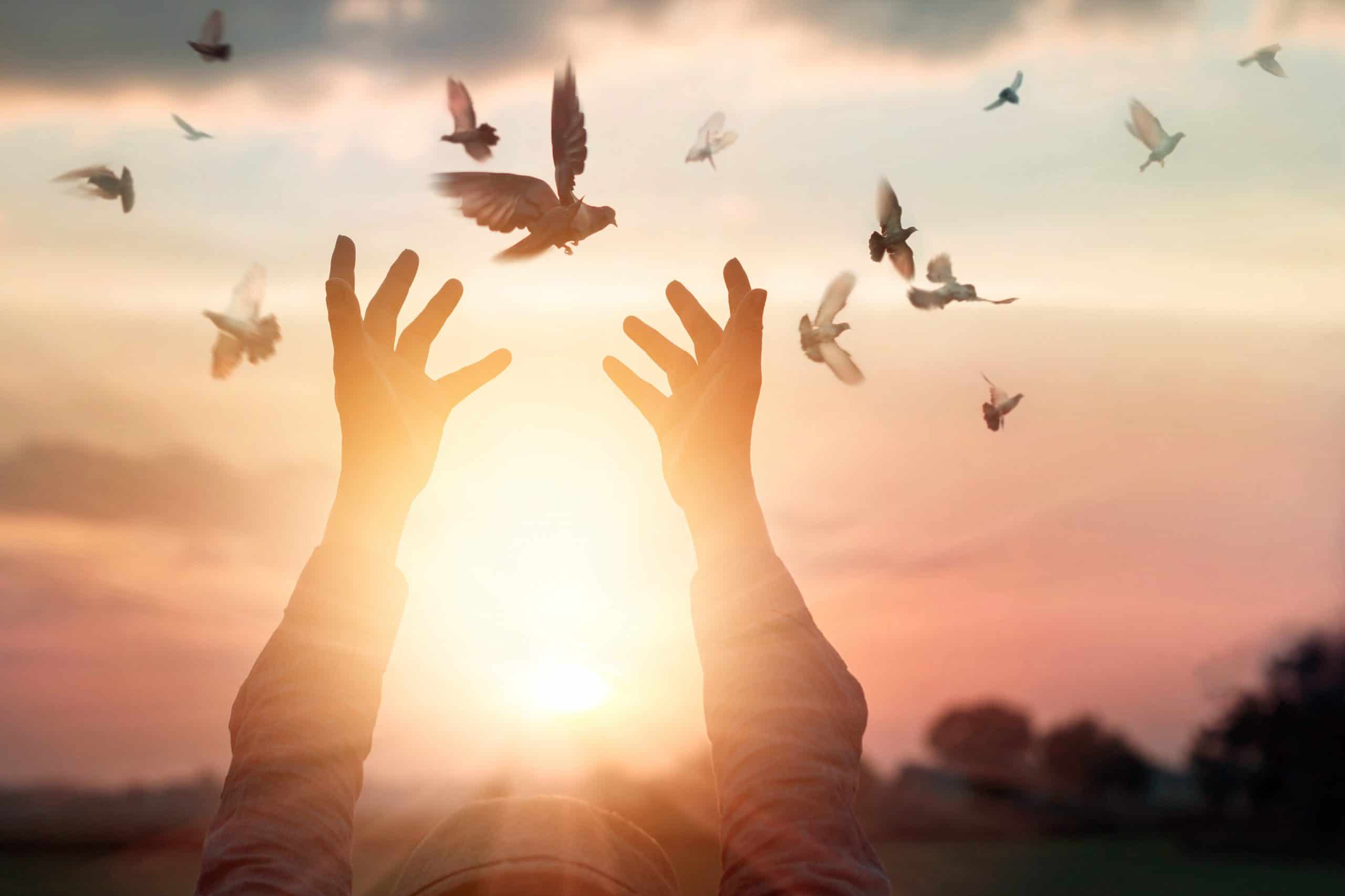 Hands releasing birds into the air with sunlight around them - Paul Wagner