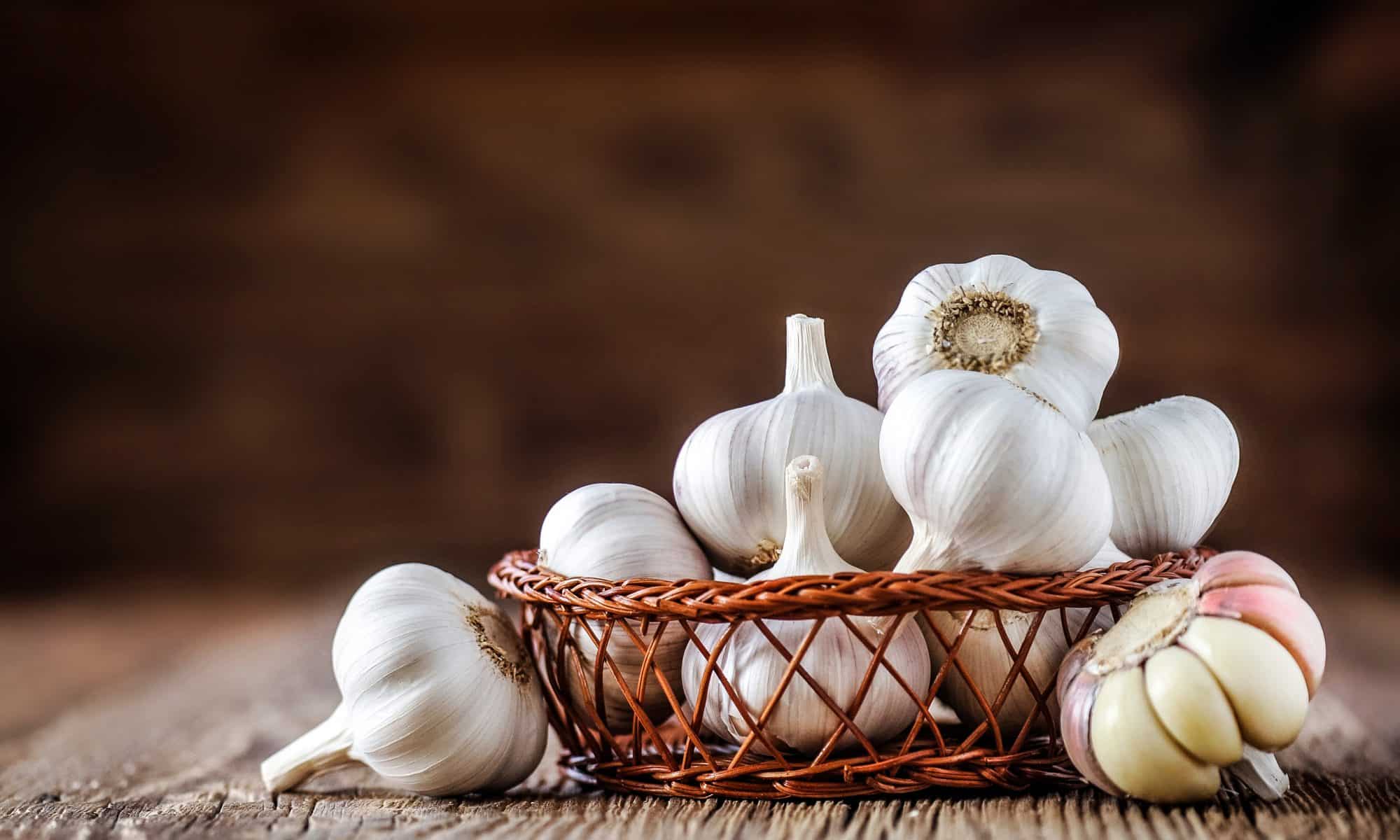 health-benefits-of-garlic