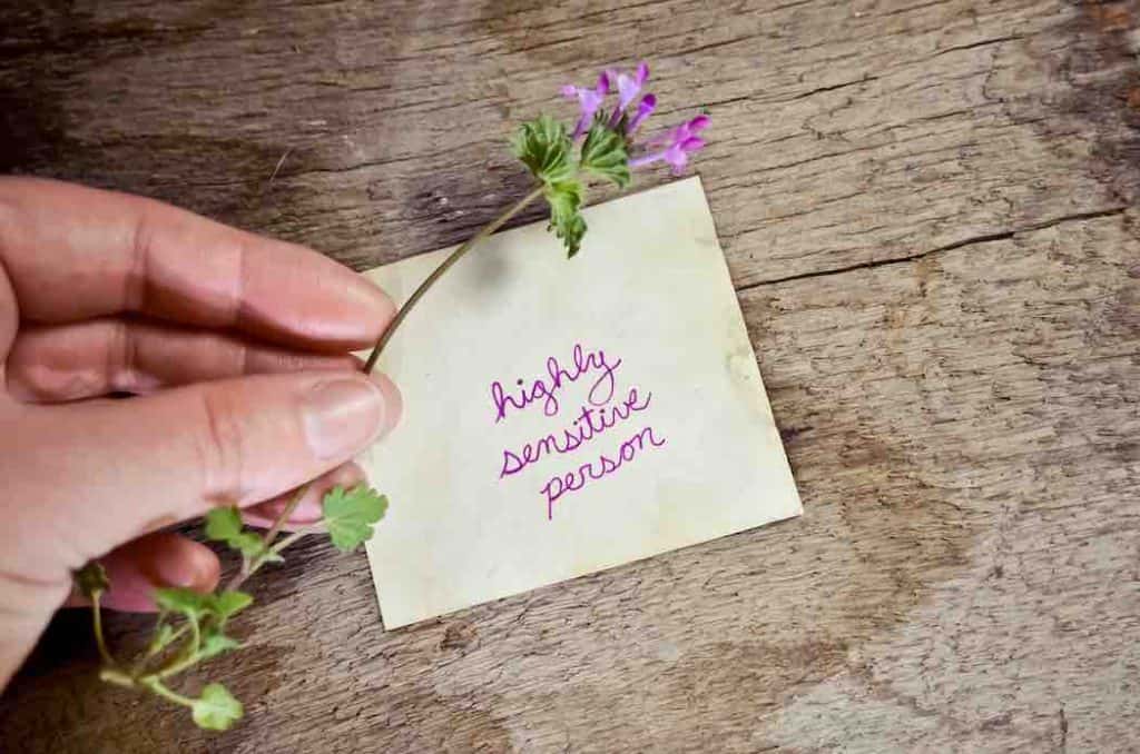 Traits of a Highly Sensitive Person & Self Care for HSP’s