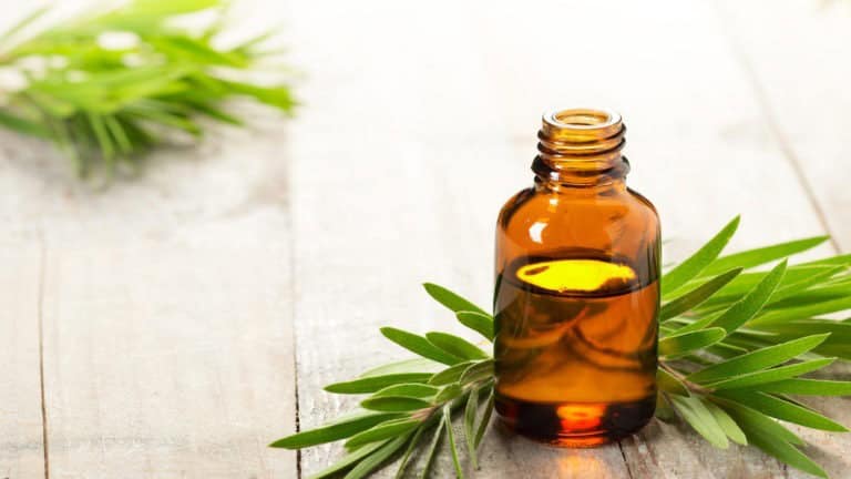 The Wonders of Tea Tree Oil, a.k.a. Melaleuca Tree Oil