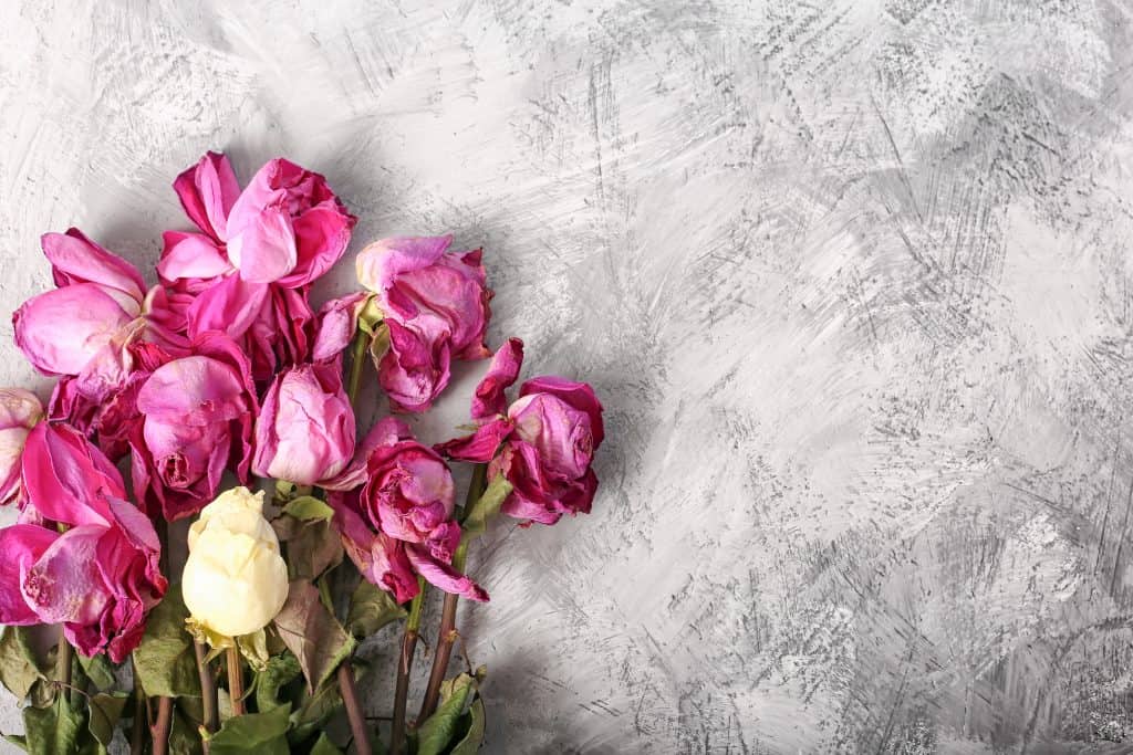 Why You Should Choose Conscious Relationships