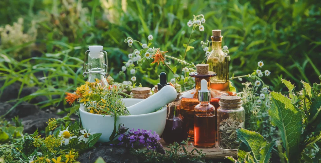 Powerful Herbs For Sadness, Stress, Sleep, Healing, Anxiety, and More