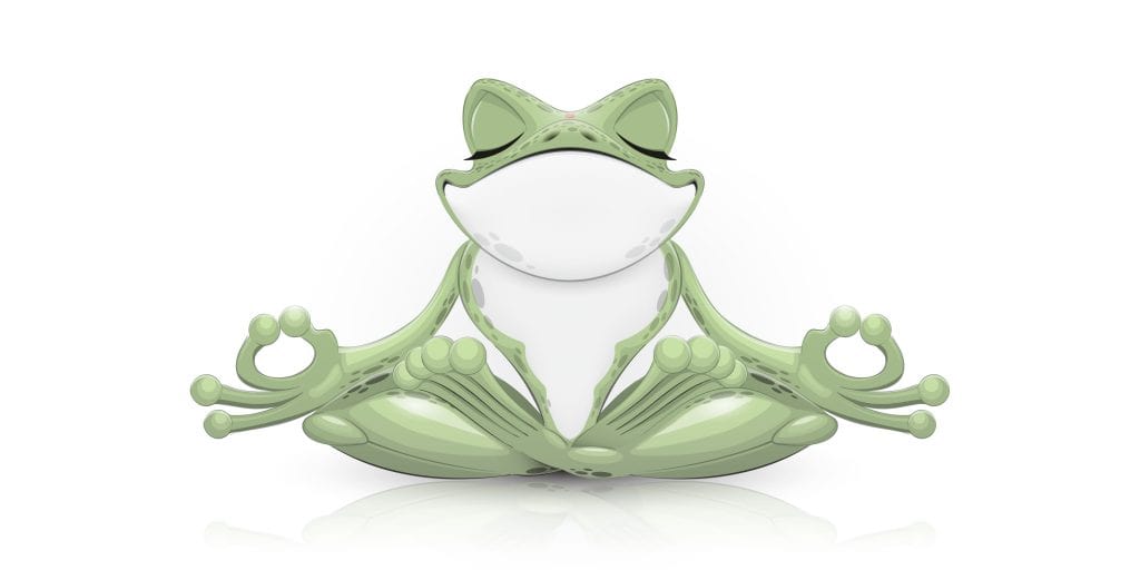 Psychedelic Toad Medicine and DMT