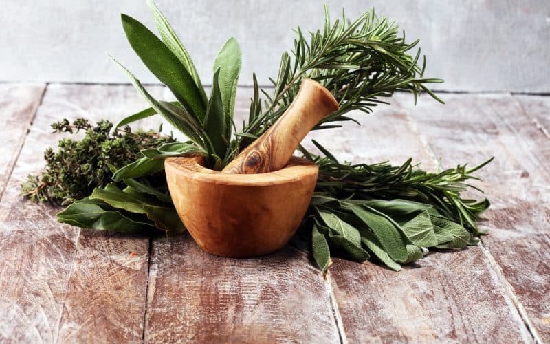 How Sage And Similar Herbs Help Us Extinguish Toxins And Heal