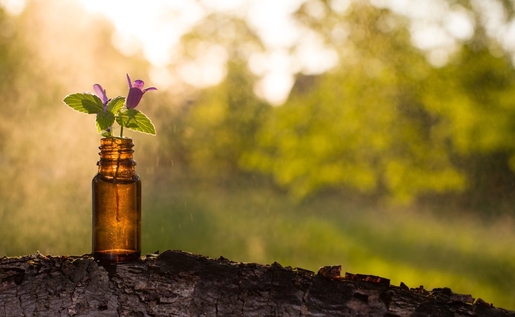 How to Heal Yourself with Bach’s Flower Remedies