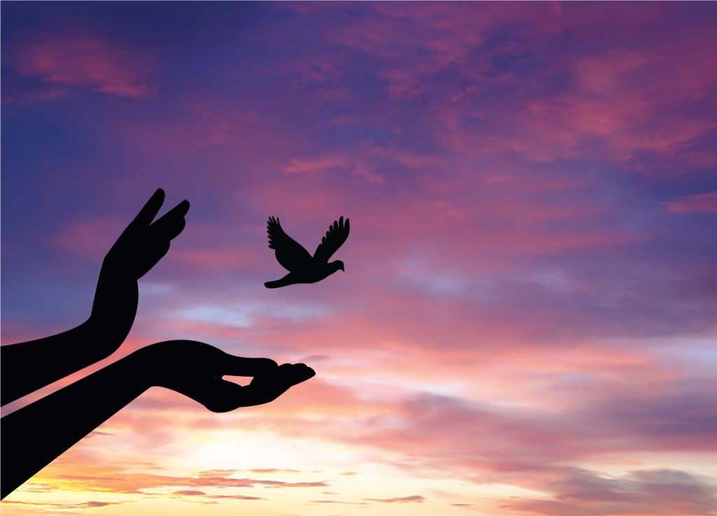 The Sedona Method: How To Release Emotions & Heal Your Life for Spiritual Transformation