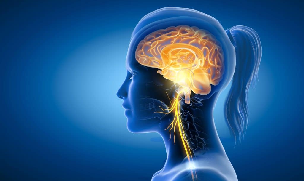 How to Stimulate the Vagus Nerve with Meditation, Deep Breathing, and More