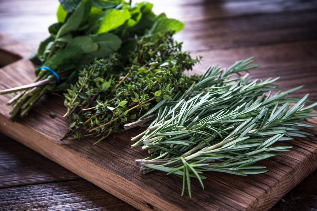 20 Herbs and Nootropics to Heal Your Brain and Improve its Performance