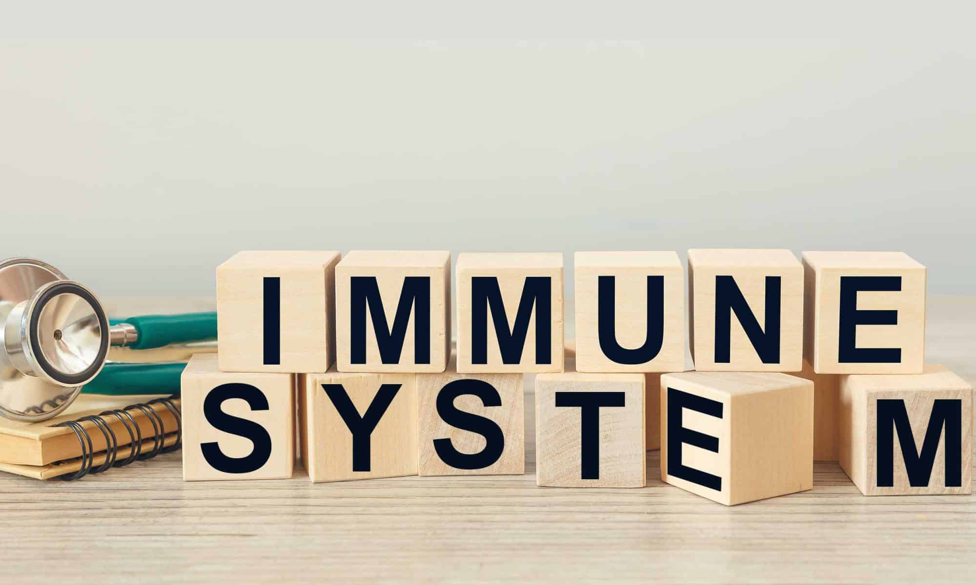 things-that-harm-your-immune-system-health