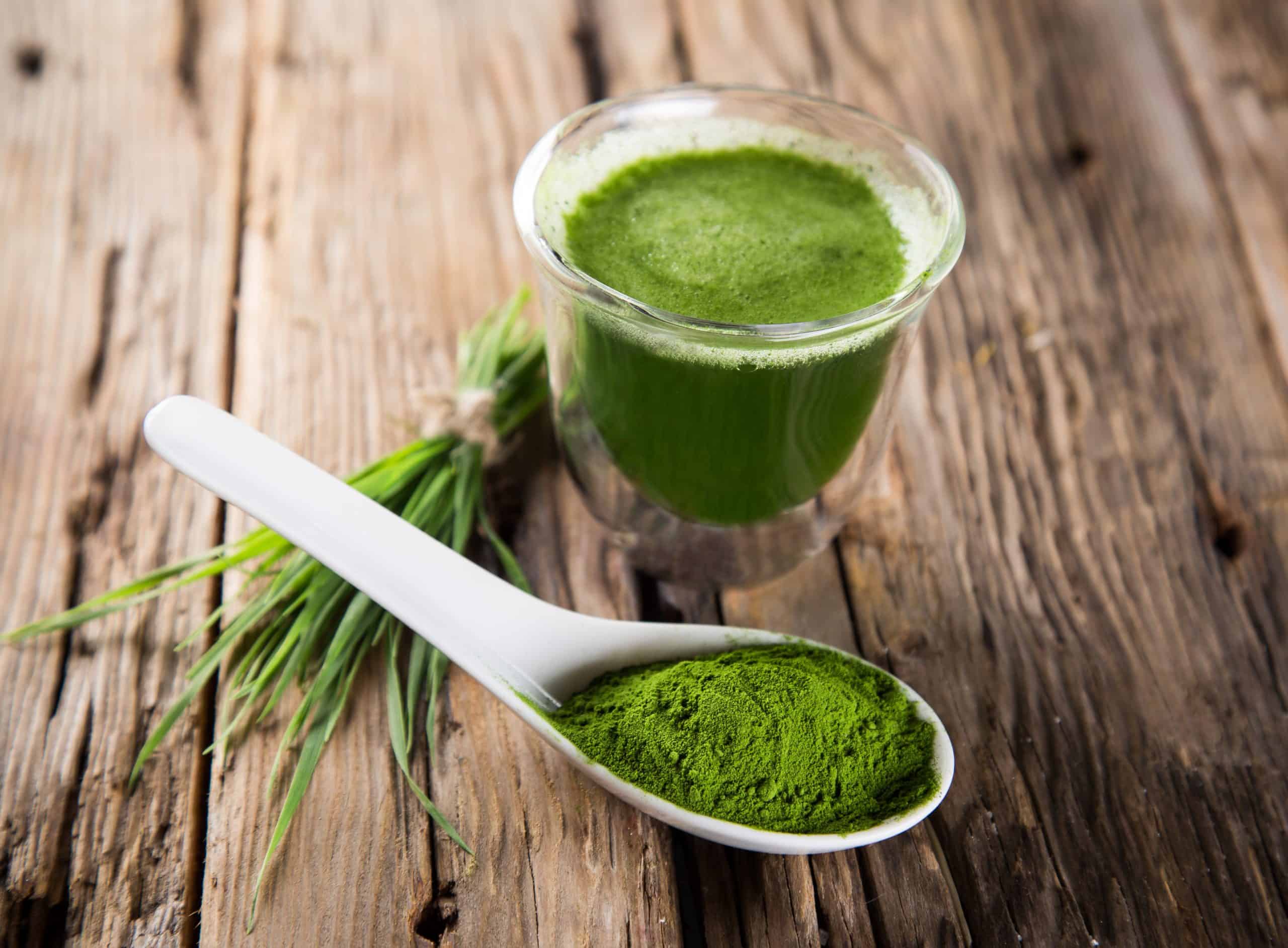 Wheatgrass - Paul Wagner